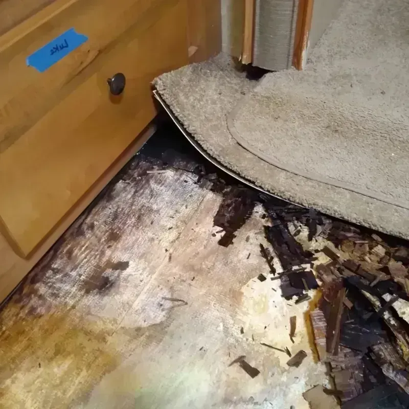 Wood Floor Water Damage in Arthur County, NE